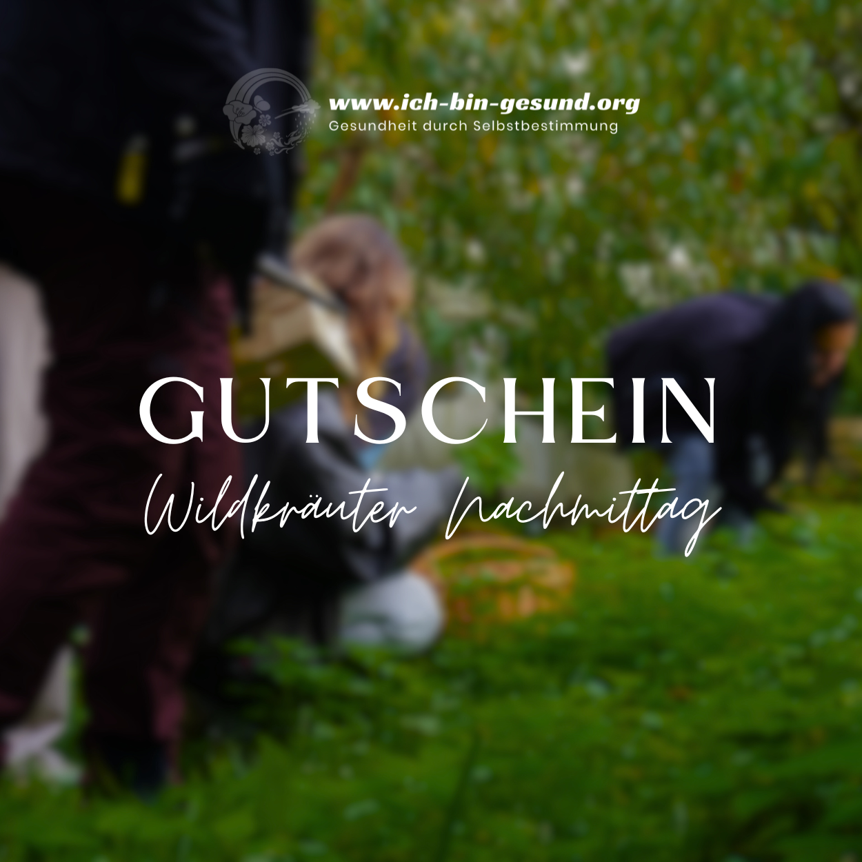 Wildkräuter-Nachmittag