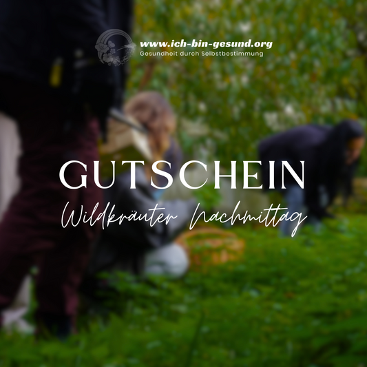 Wildkräuter-Nachmittag