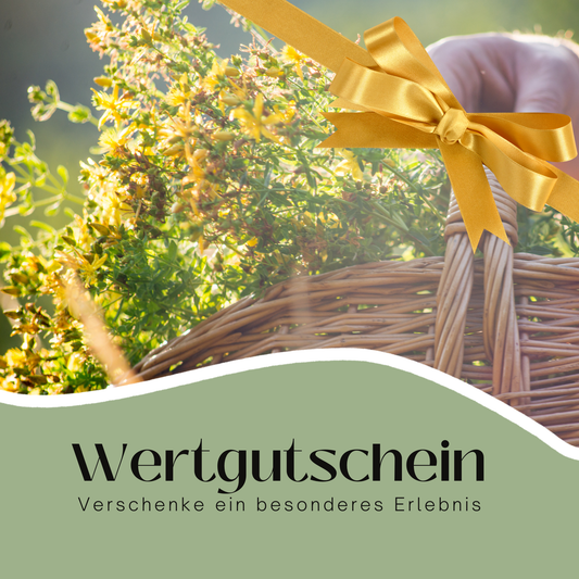 Erlebnissgutschein