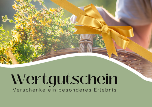Erlebnissgutschein